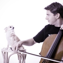 Cellist im Wortfront-Shirt mit kleinem Hund auf einem Stuhl
